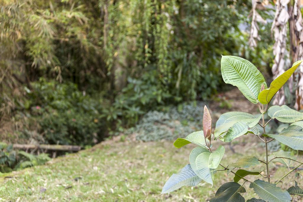 Pousada Quatro Estacoes Trindade  Esterno foto